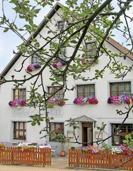 Hotel Restaurant Engel Pfaffenweiler Екстер'єр фото
